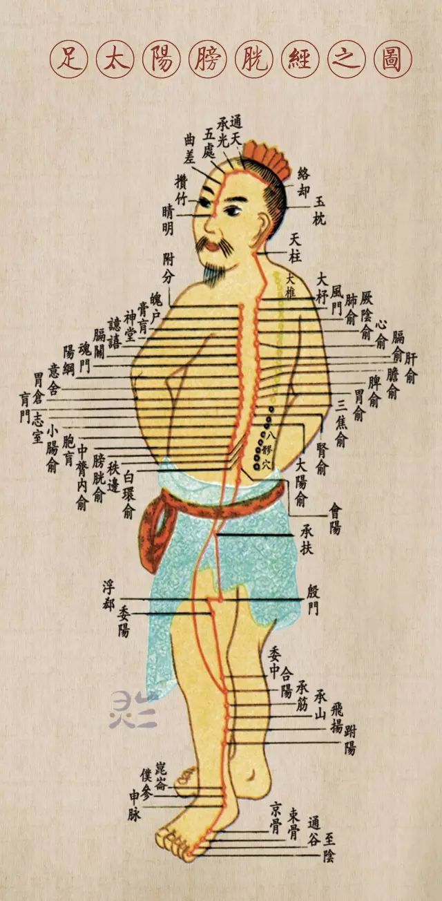 足太阳膀胱经主治