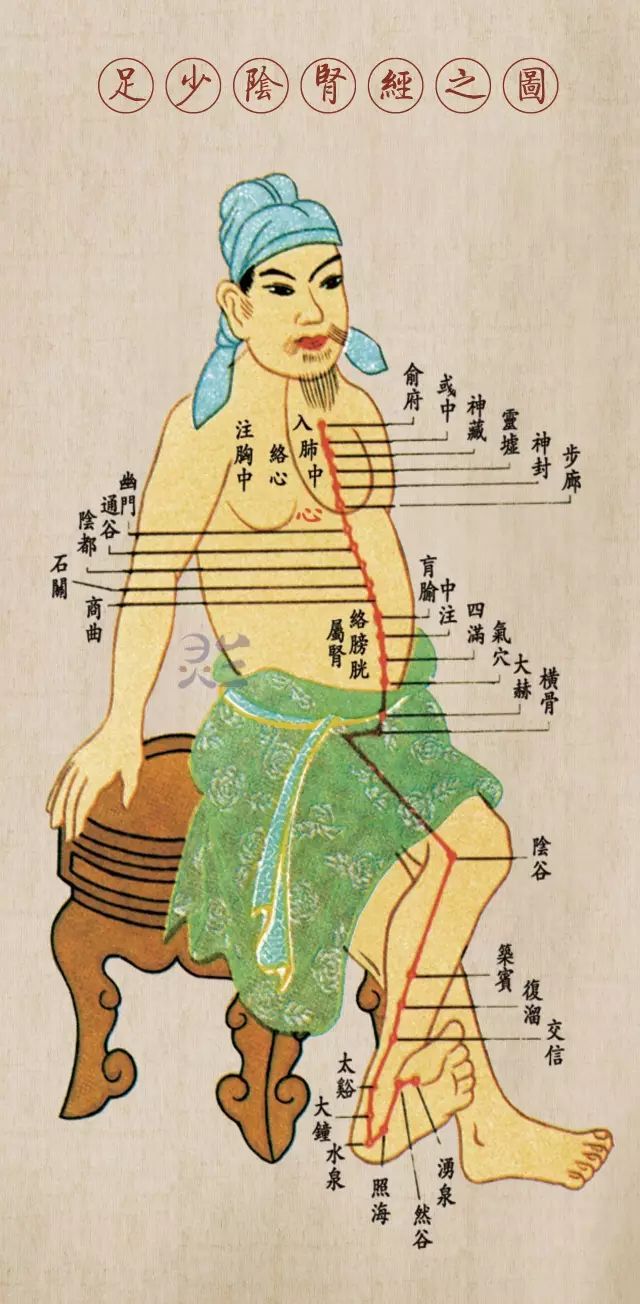 足少阴肾经歌诀