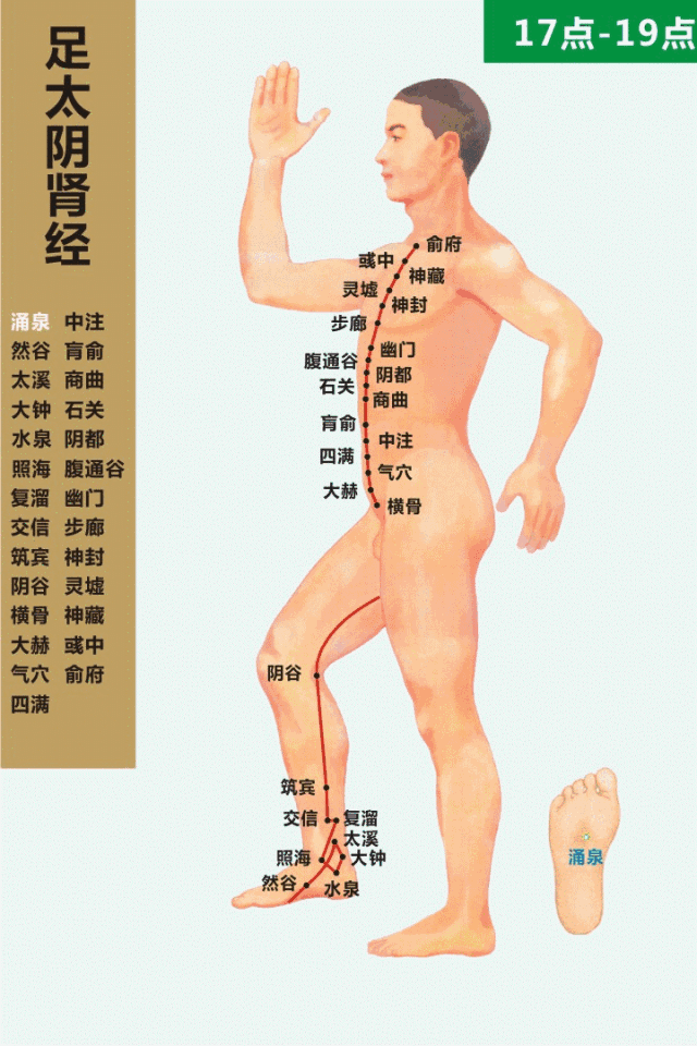 足少阴肾经穴位图
