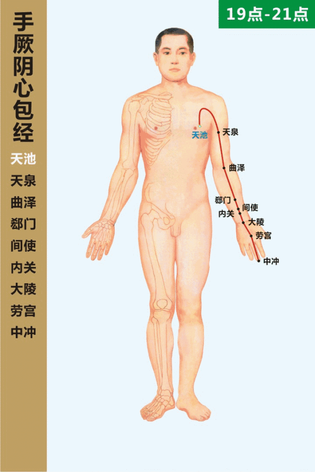 手厥阴心包经穴位图图