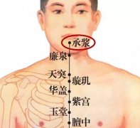 承浆穴的准确穴位图及作用