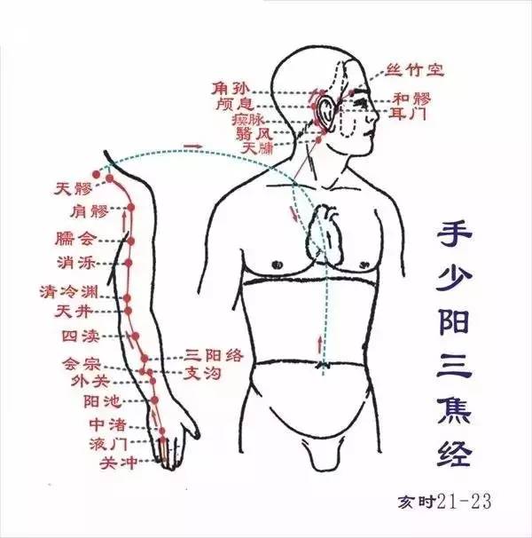 手少阳三焦经