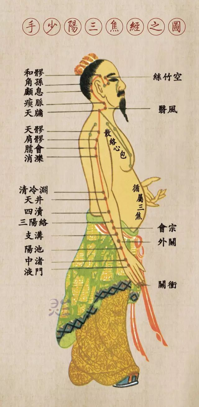 手少阳三焦经经脉循行