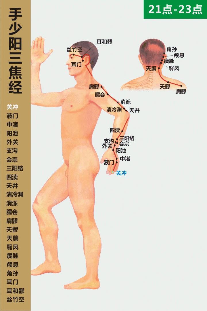 手少阳三焦经穴位图