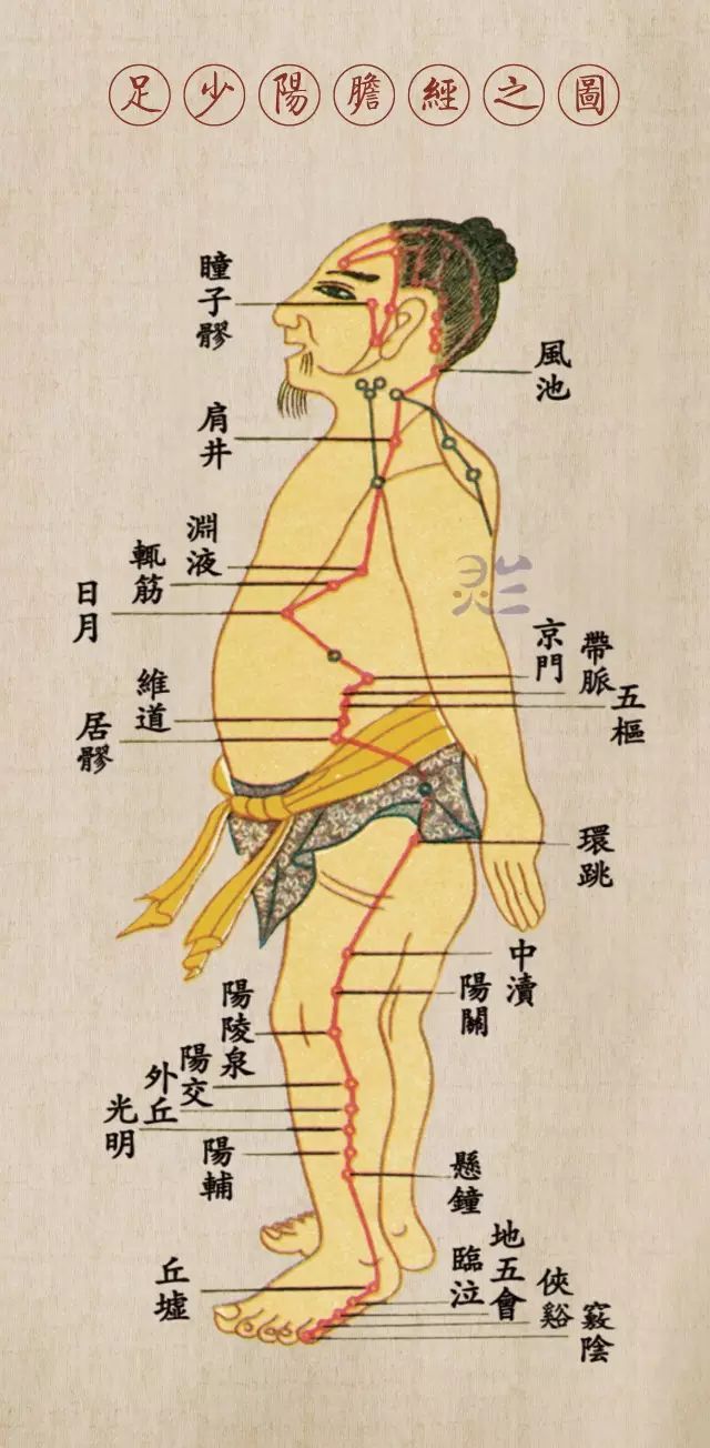足少阳胆经经脉循行图