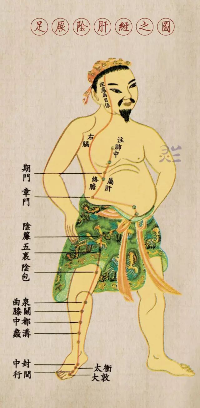足厥阴肝经循行图