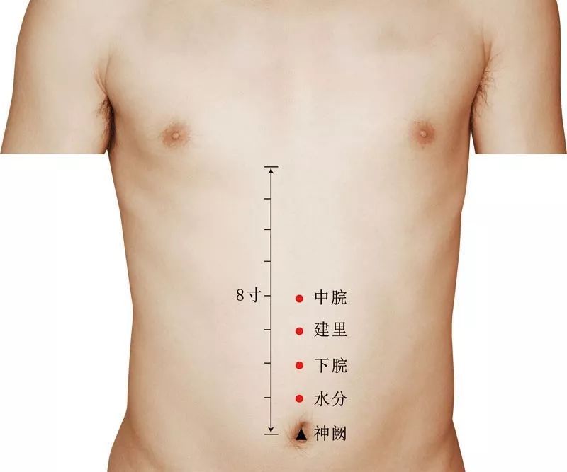 建里穴的准确穴位图