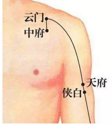 中府穴的准确位置图