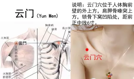 云门穴的准确穴位图