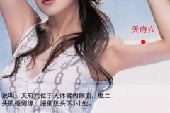 天府穴的准确位置图及作用