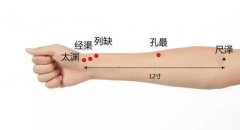 尺泽穴的准确位置图及功效作用