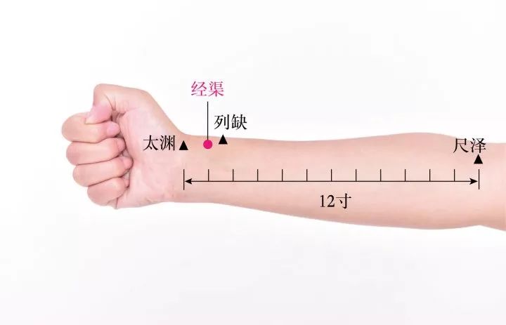 经渠穴的准确位置图及作用