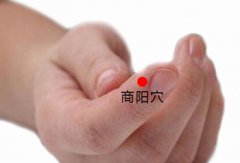商阳穴的准确位置图及作用