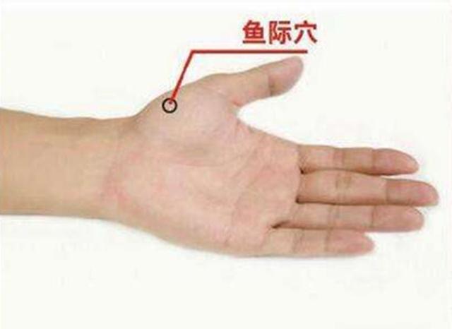 鱼际穴的准确位置图