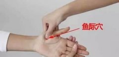 鱼际穴的准确位置图及作用