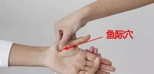鱼际穴的准确位置图及作用