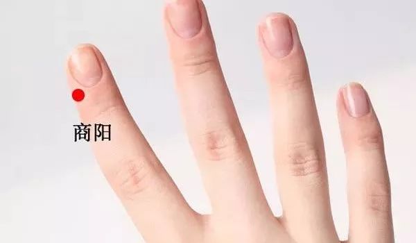 商阳穴的准确位置图及作用