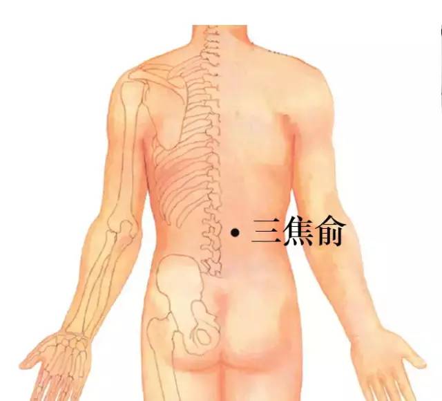 三焦俞的准确位置图