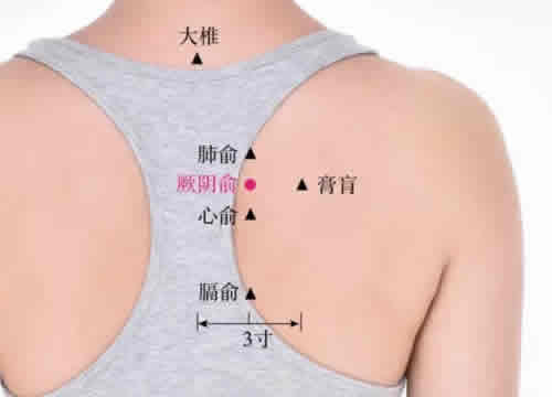 厥阴俞穴的准确位置图及功效作用