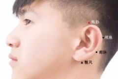角孙穴的准确穴位图及作用