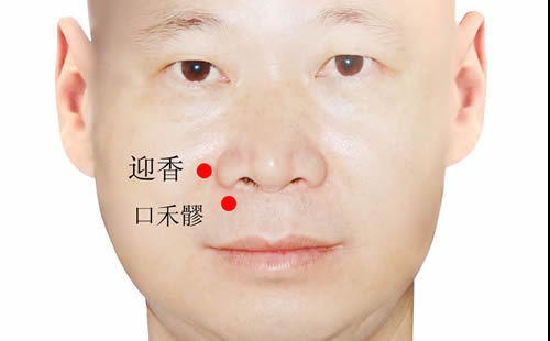 口禾髎的准确穴位图及作用