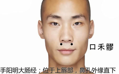 口禾髎的准确穴位图