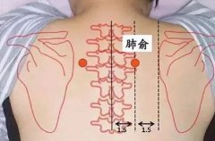 肺俞穴的准确位置图及作用