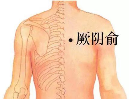 厥阴俞穴位的作用