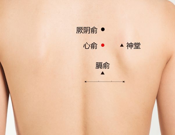 心俞穴的准确位置图及作用