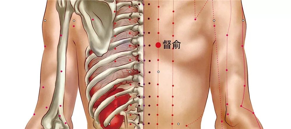 督俞穴的作用
