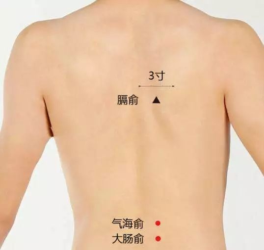 大肠俞穴的准确穴位图及作用
