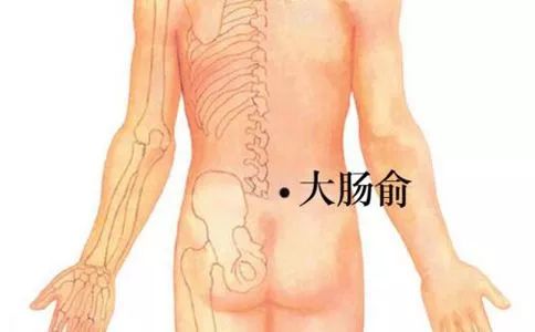 大肠俞穴的作用