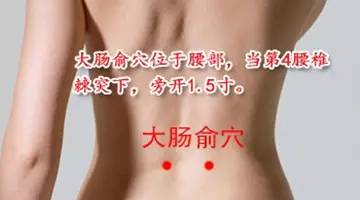 大肠俞穴的准确穴位图