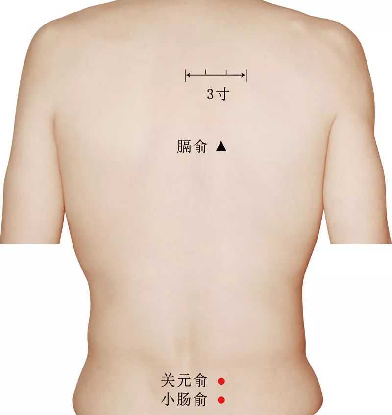 关元俞的准确穴位图及作用