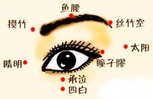丝竹空的作用
