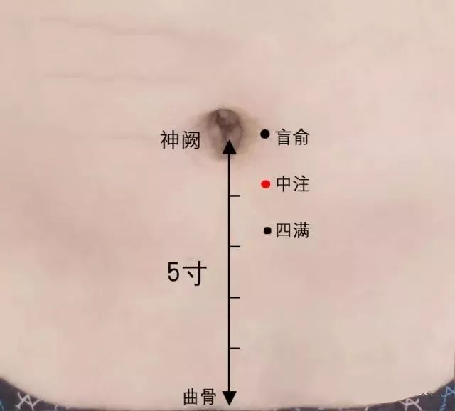 中注穴的准确穴位图