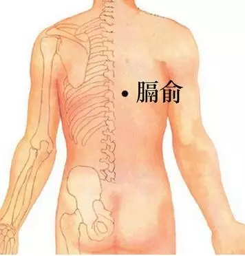 膈俞穴的准确位置图及作用