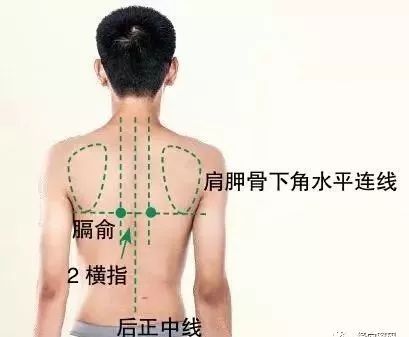膈俞穴的作用