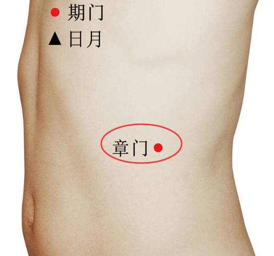 章门穴的准确位置图及功效作用