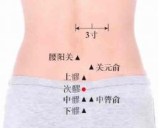 <b>次髎穴的准确穴位图及作用</b>