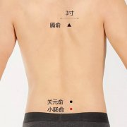 <b>小肠俞位置准确穴位图及作用</b>