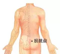 膀胱俞穴的准确穴位图