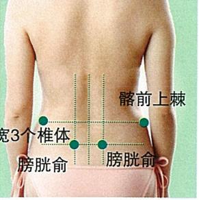 <b>膀胱俞穴的准确穴位图及功效作用</b>