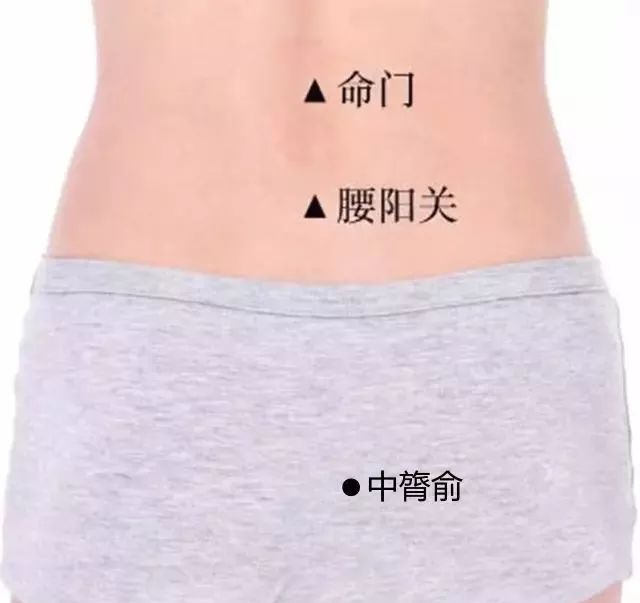中膂俞的准确穴位图及作用