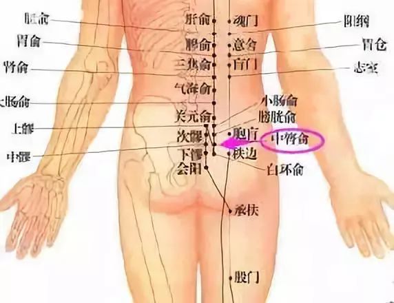 中膂俞的准确穴位图