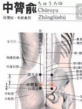 中膂俞的准确穴位图