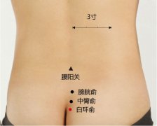 <b>白环俞的准确穴位图及功效作用</b>