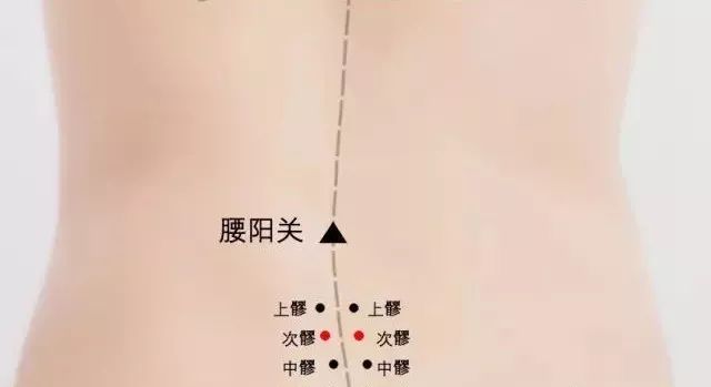 次髎穴的准确穴位图