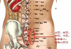 <b>中髎穴的准确穴位图及作用</b>