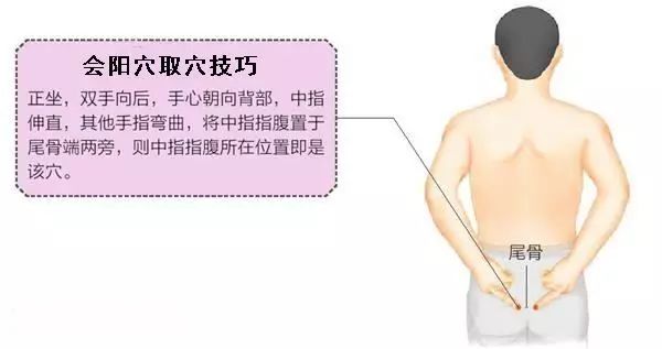 会阳穴的作用